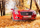 Золото осени, или Cadillac CTS...