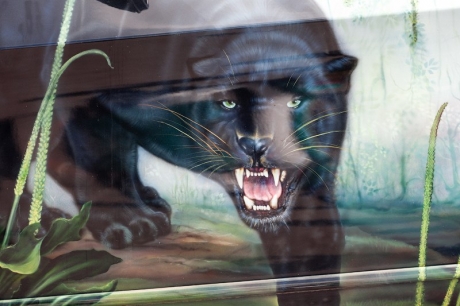 Выставка авто аэрографии "Аэрограф-2010"