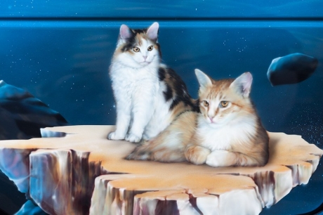 Выставка авто аэрографии "Аэрограф-2010"