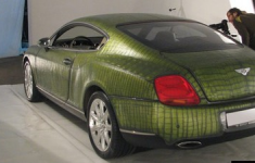 Авто из кожи – Bentley Suitcase Croco