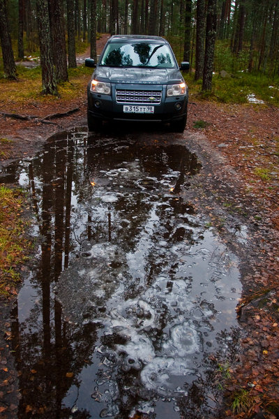 LR Freelander 2: не боясь грязи