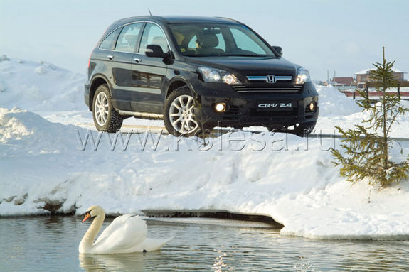 Honda CR-V: подорожник