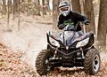 Arctic Cat XC 450i 4x4: «кот», грозящийся поцарапать конкурентов